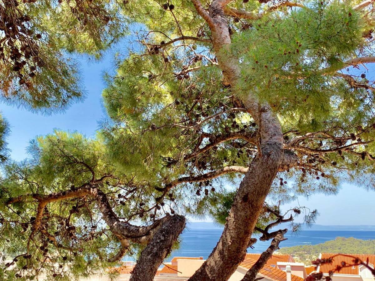 Апартаменты 17 Pines Макарска Экстерьер фото