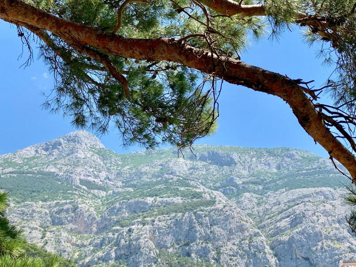 Апартаменты 17 Pines Макарска Экстерьер фото